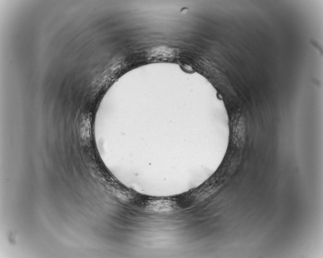 X0000102020708200808151316