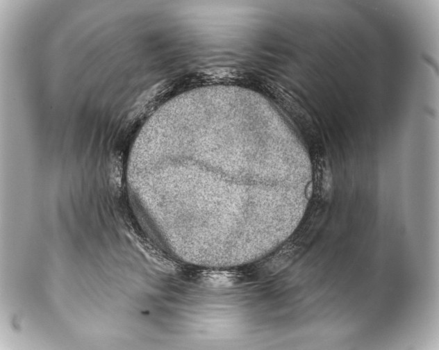 X0000102020710200808151315