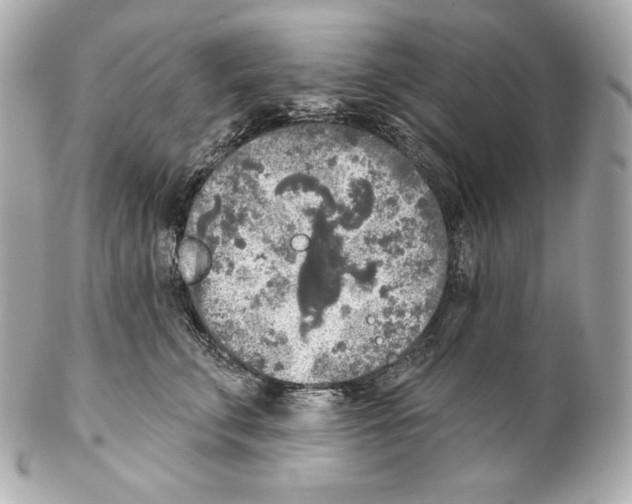 X0000102020711200808151315