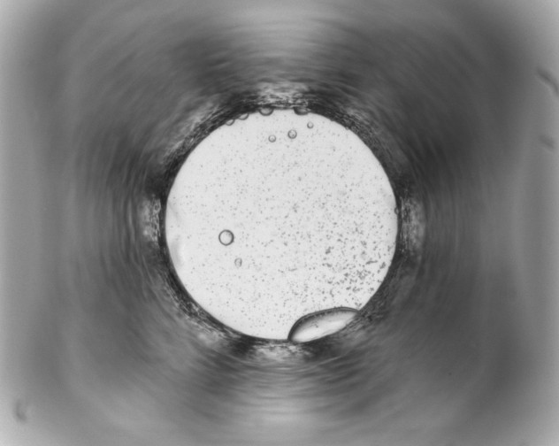 X0000102020712200808151315
