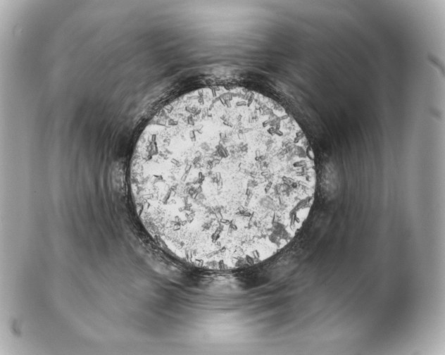 X0000102020715200808151315