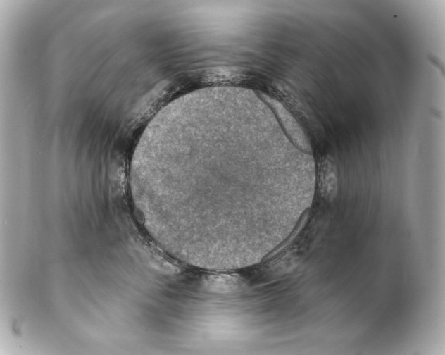 X0000102020716200808151315
