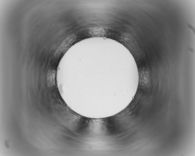 X0000102020717200808151315