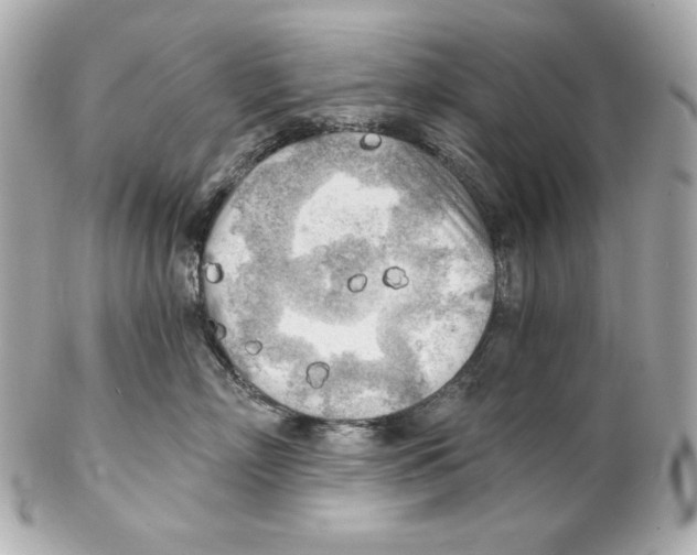 X0000102020718200808151315