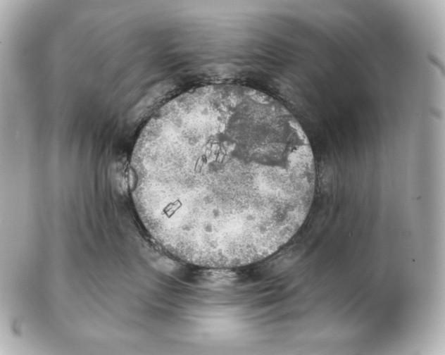 X0000102020719200808151315