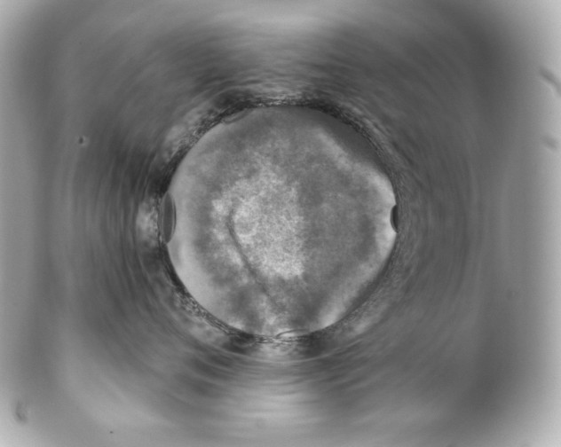 X0000102020720200808151315