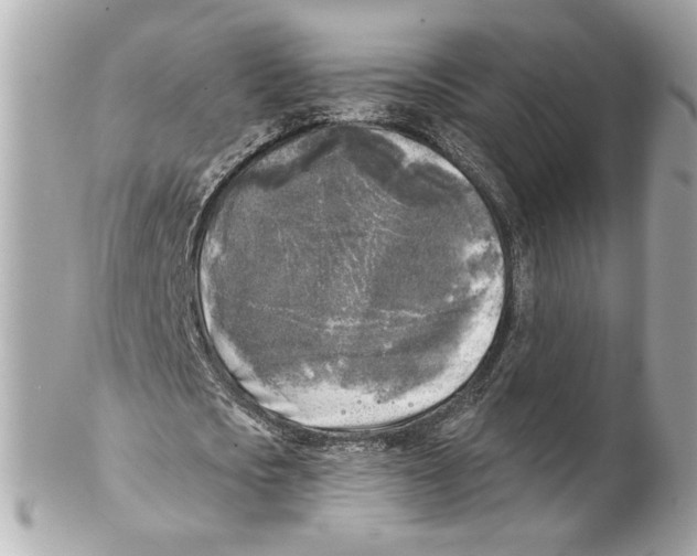 X0000102020721200808151315