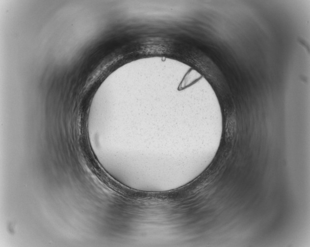 X0000102020722200808151315
