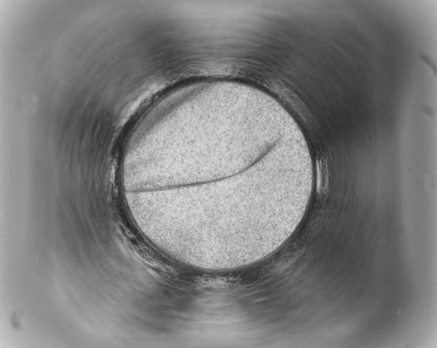 X0000102020723200808151315