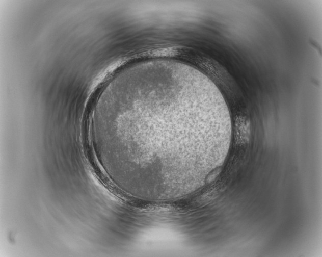 X0000102020726200808151315