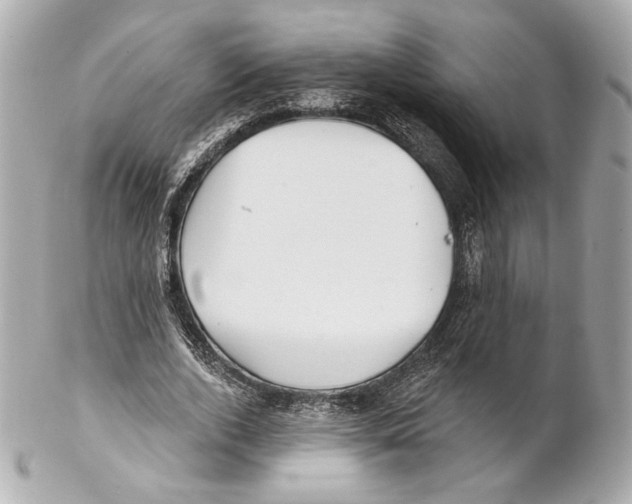 X0000102020728200808151315