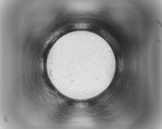 X0000102020731200808151315
