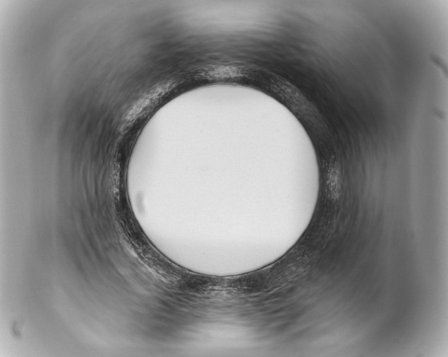 X0000102020732200808151315