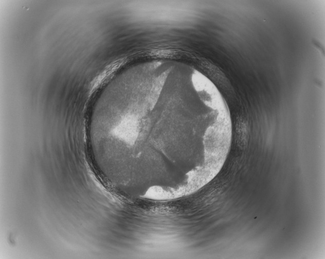 X0000102020734200808151315