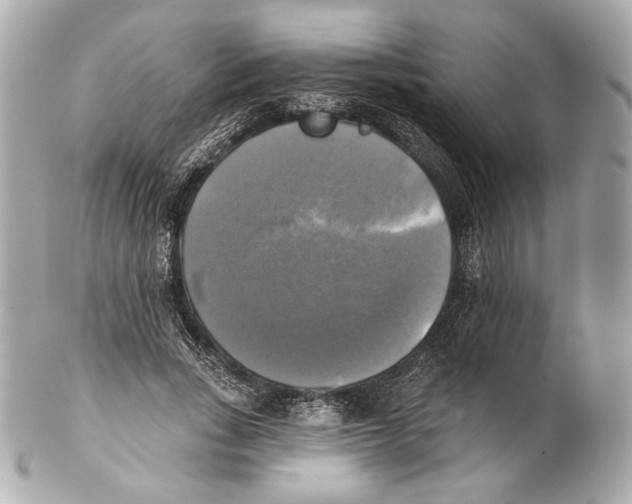 X0000102020735200808151315