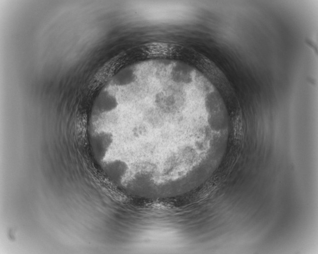 X0000102020737200808151315