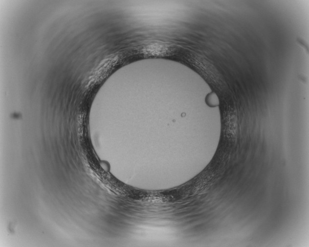 X0000102020738200808151315