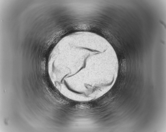 X0000102020739200808151315