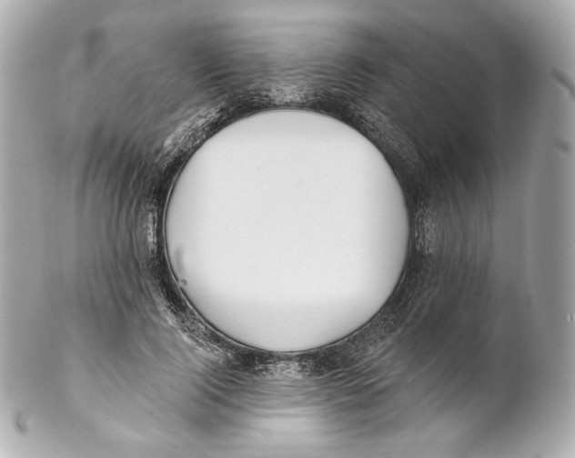 X0000102020740200808151315