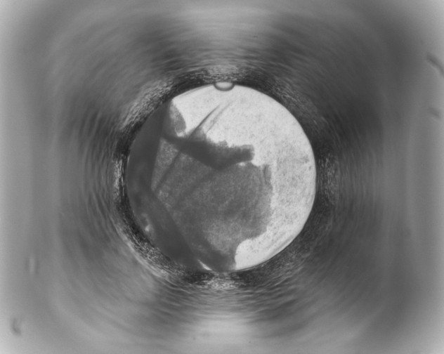 X0000102020742200808151315