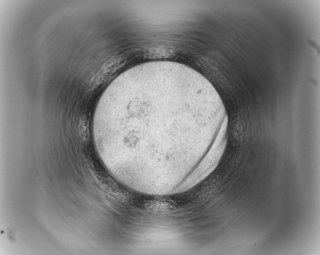X0000102020743200808151315