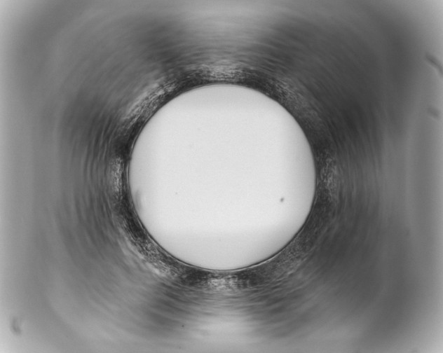 X0000102020744200808151315