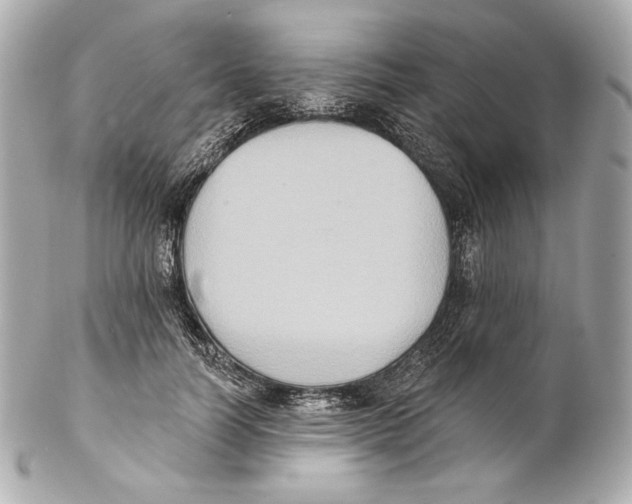 X0000102020746200808151315