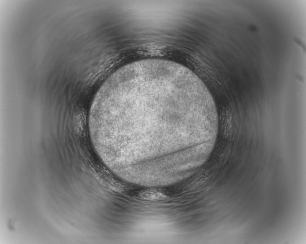 X0000102020747200808151315