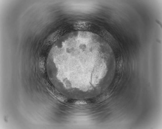 X0000102020749200808151315