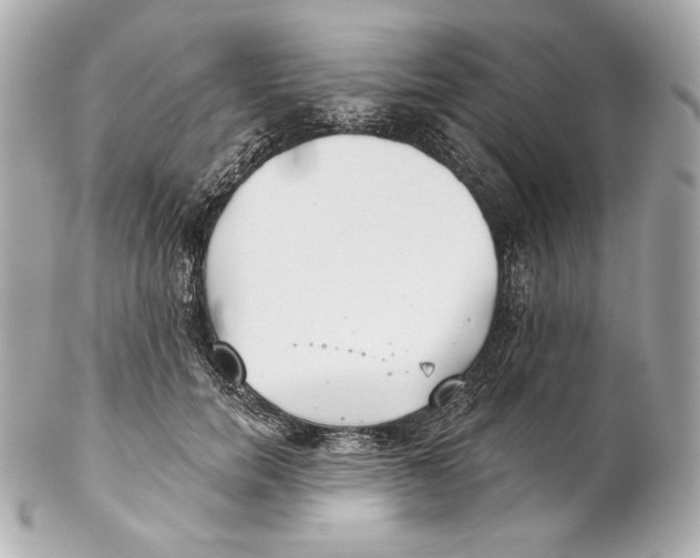 X0000102020750200808151315