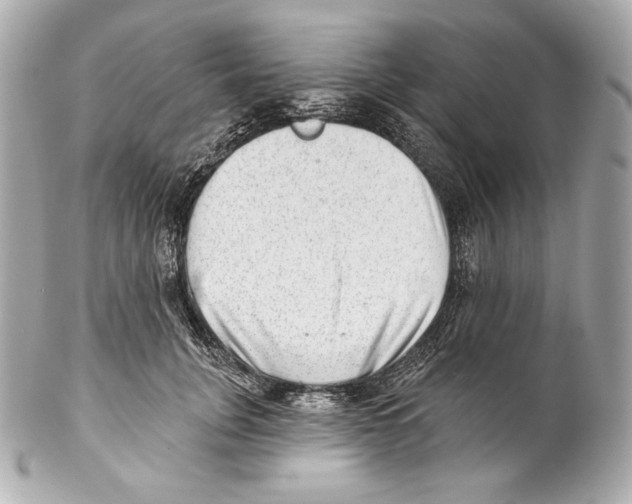 X0000102020751200808151315