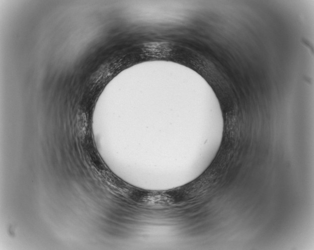 X0000102020752200808151315