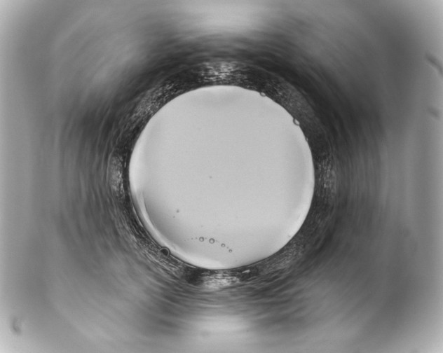 X0000102020754200808151315
