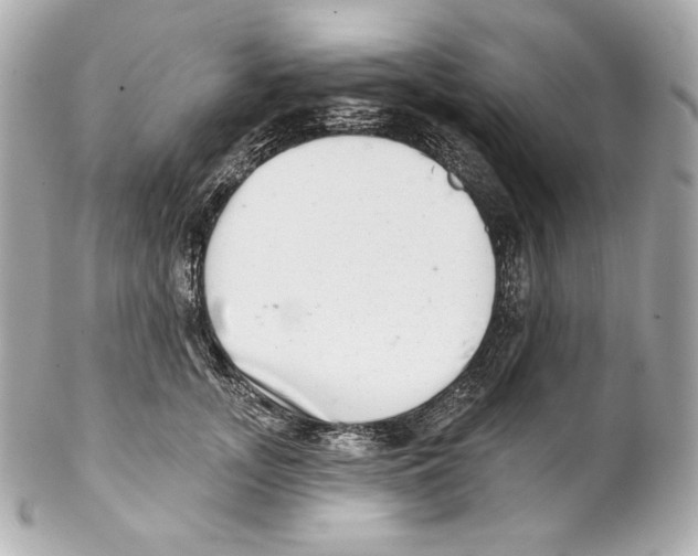 X0000102020755200808151315