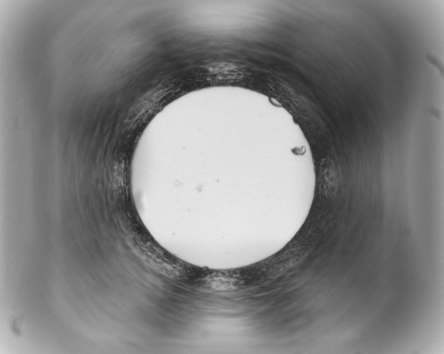 X0000102020756200808151315