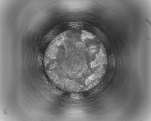 X0000102020757200808151315