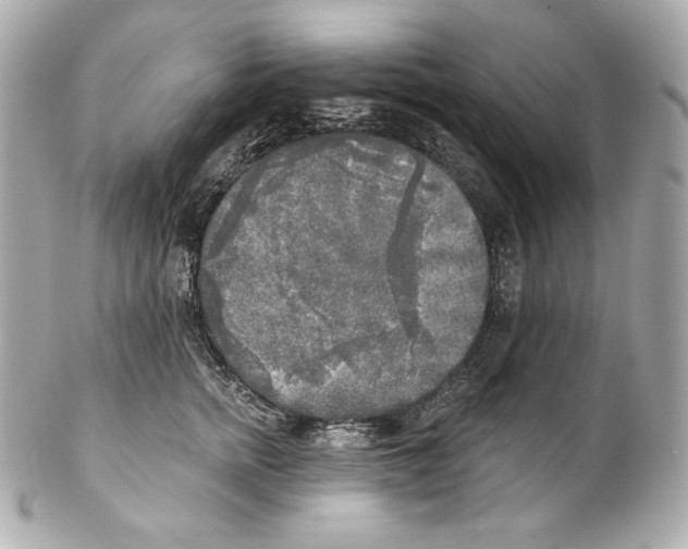 X0000102020758200808151315