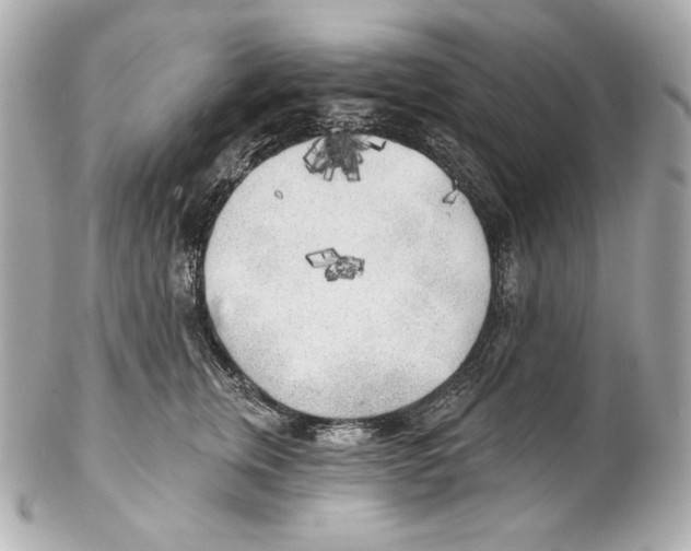 X0000102020759200808151315