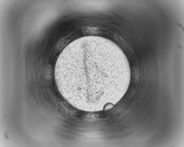 X0000102020760200808151315