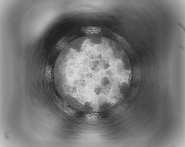 X0000102020761200808151315