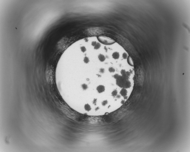 X0000102020762200808151315