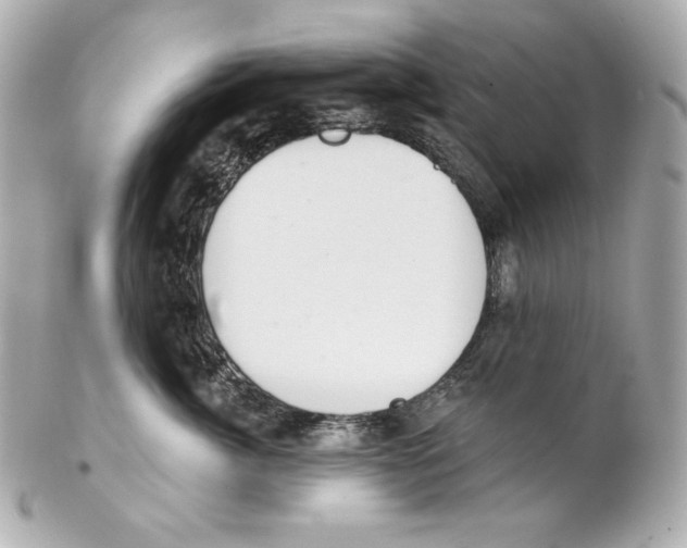 X0000102020764200808151315