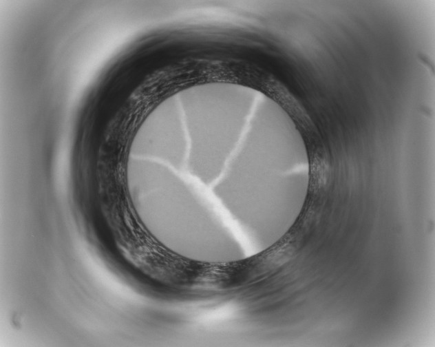X0000102020765200808151315