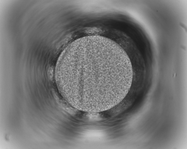 X0000102020767200808151315