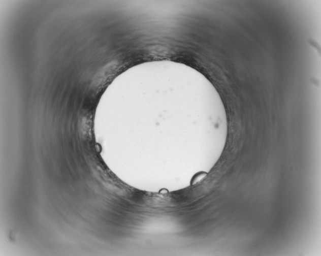 X0000102020768200808151315