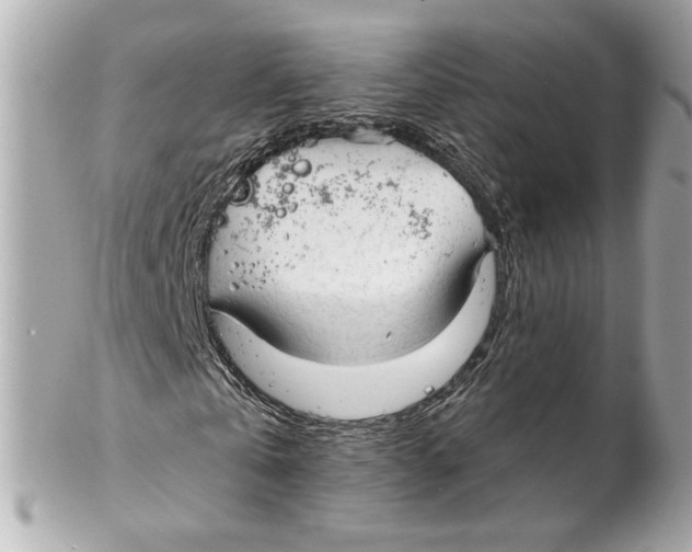 X0000102020769200808151315