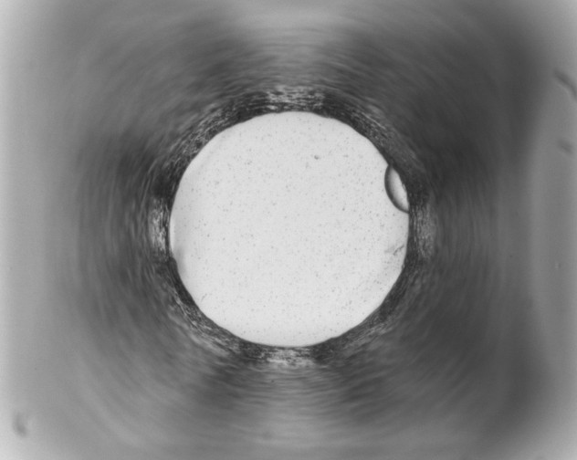 X0000102020770200808151315