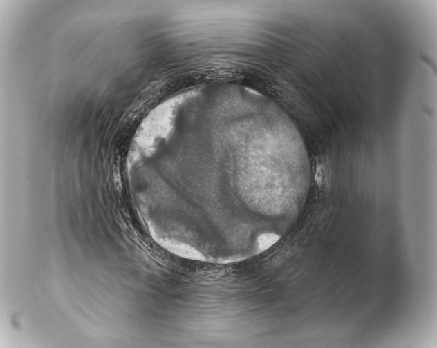 X0000102020771200808151315