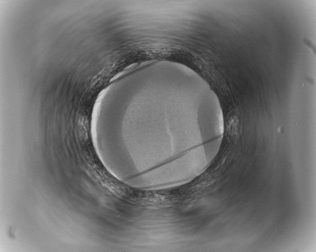 X0000102020772200808151315