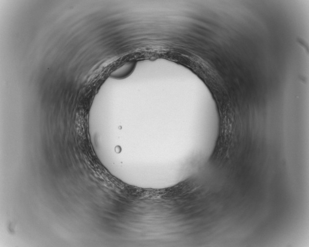 X0000102020773200808151315